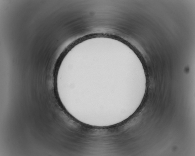 X0000100410927200807032034