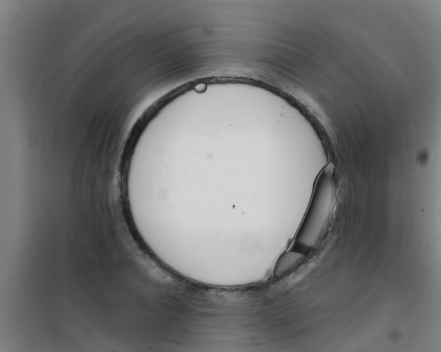 X0000100410928200807032034