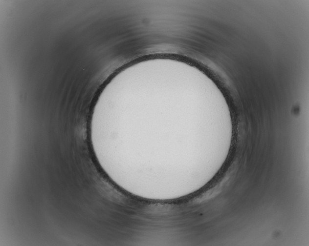 X0000100410929200807032034