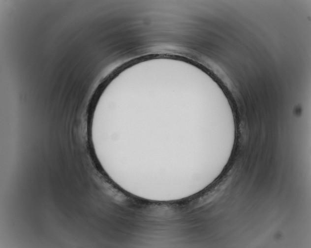 X0000100410931200807032034