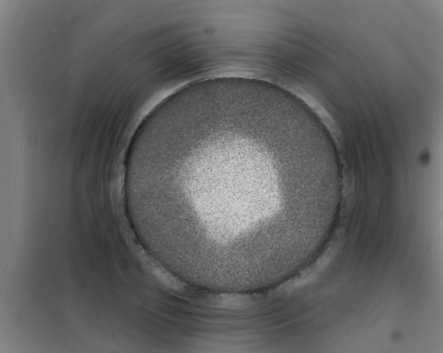 X0000100410933200807032034