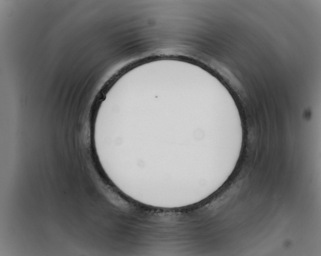 X0000100410934200807032034