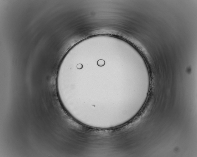 X0000100410937200807032034