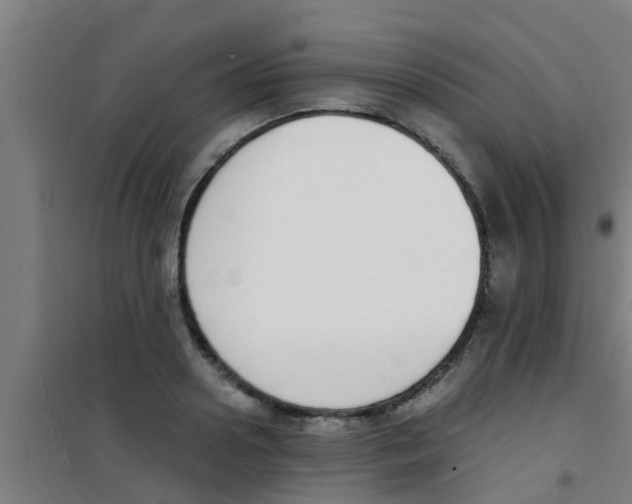 X0000100410938200807032034