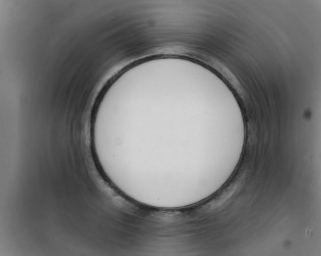 X0000100410939200807032034