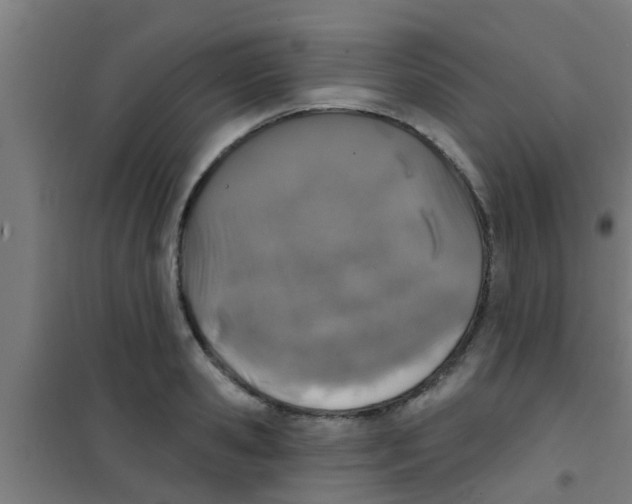 X0000100410941200807032034