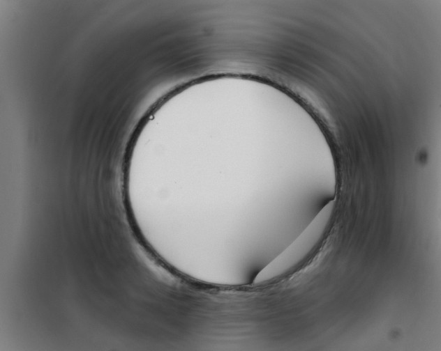 X0000100410942200807032034