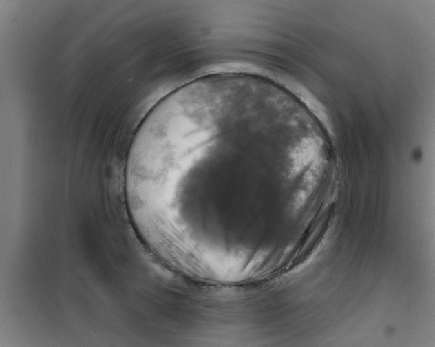 X0000100410945200807032034
