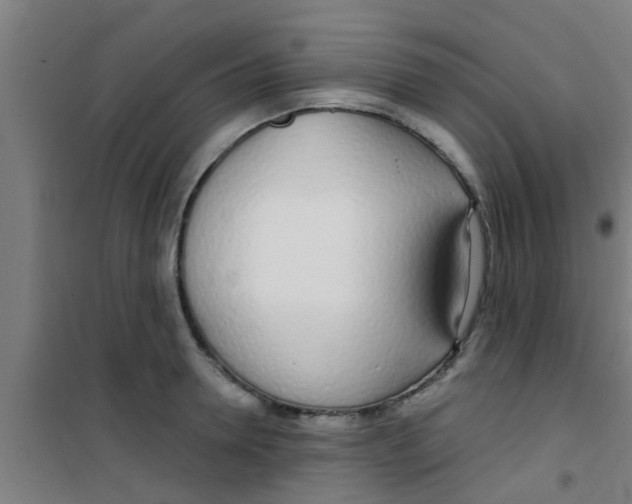 X0000100410946200807032034