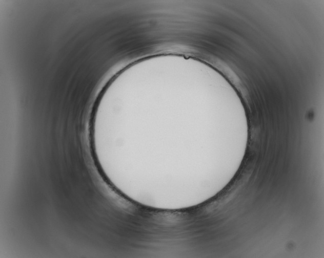 X0000100410947200807032034