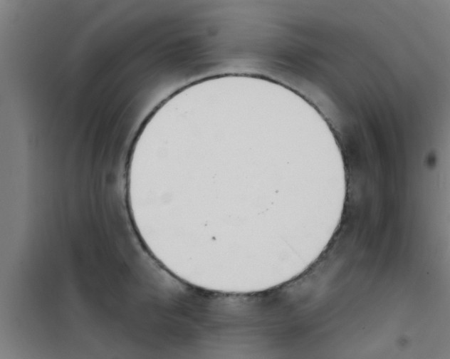 X0000100410950200807032034