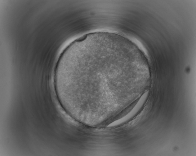 X0000100410952200807032034