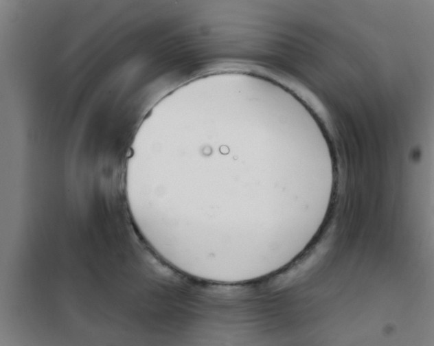 X0000100410953200807032034