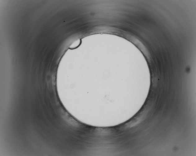 X0000100410954200807032034