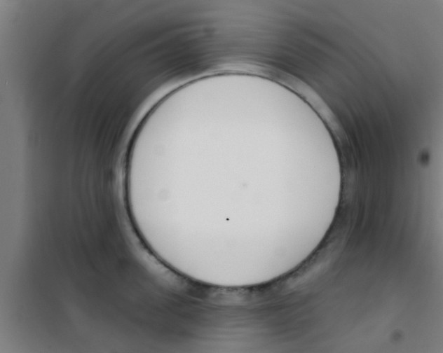 X0000100410955200807032034