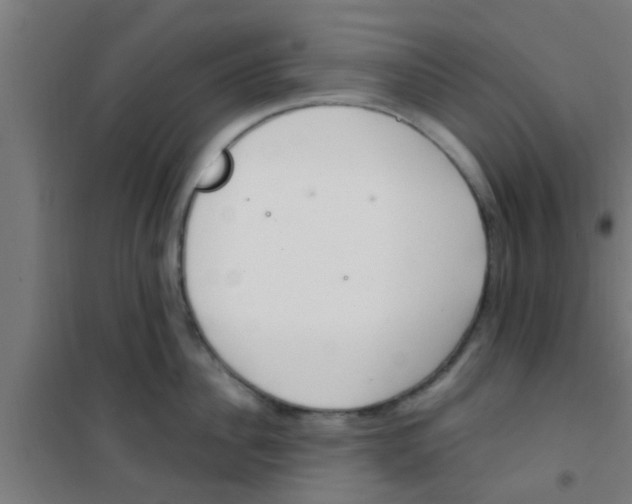 X0000100410956200807032034