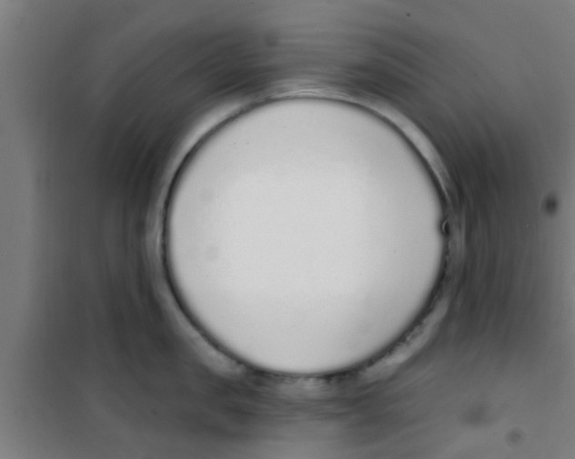 X0000100410957200807032034