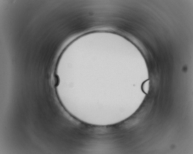 X0000100410959200807032034