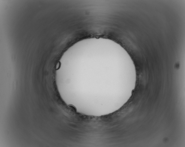 X0000100410961200807032034