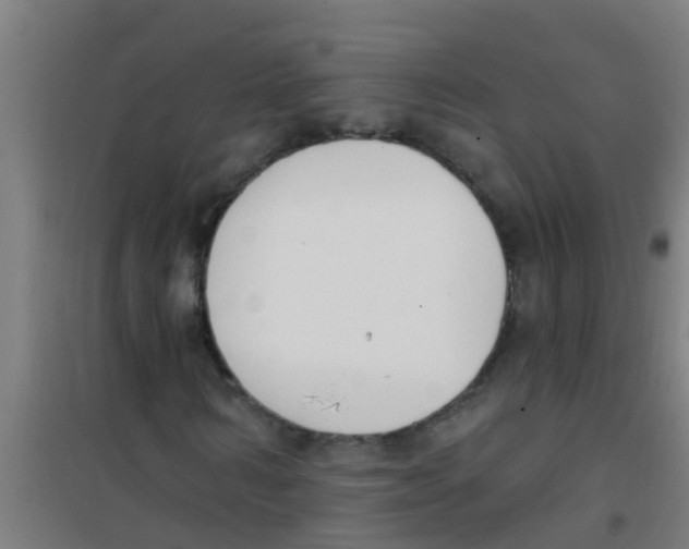 X0000100410962200807032034