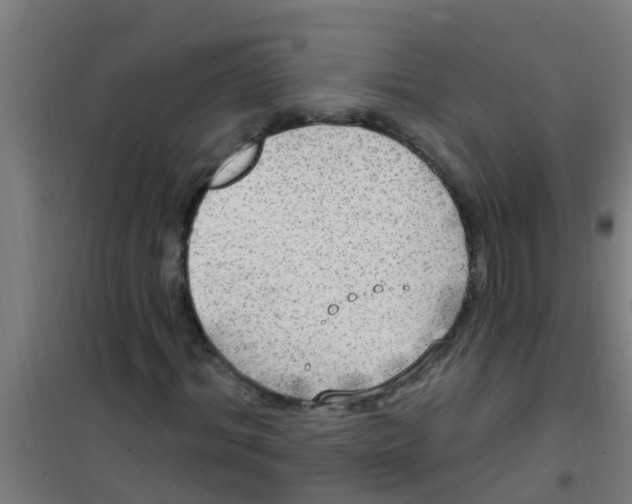 X0000100410964200807032034