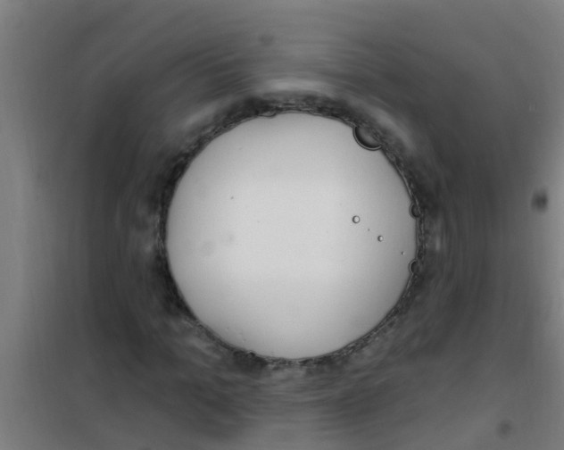 X0000100410965200807032034