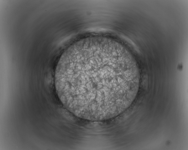 X0000100410966200807032034
