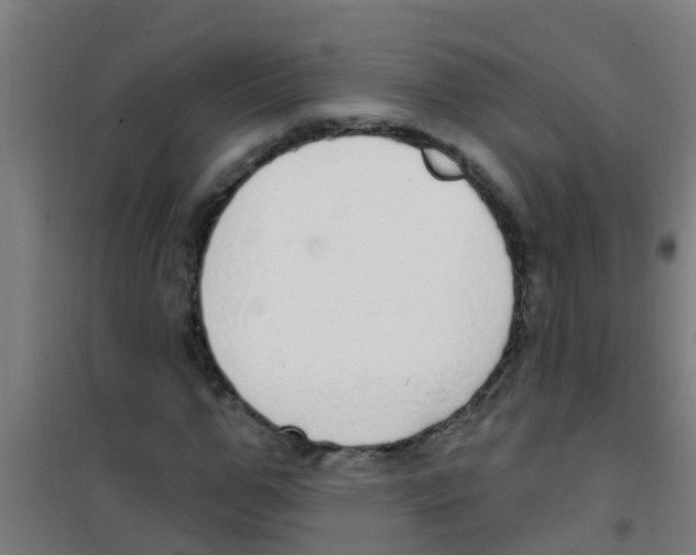 X0000100410967200807032033