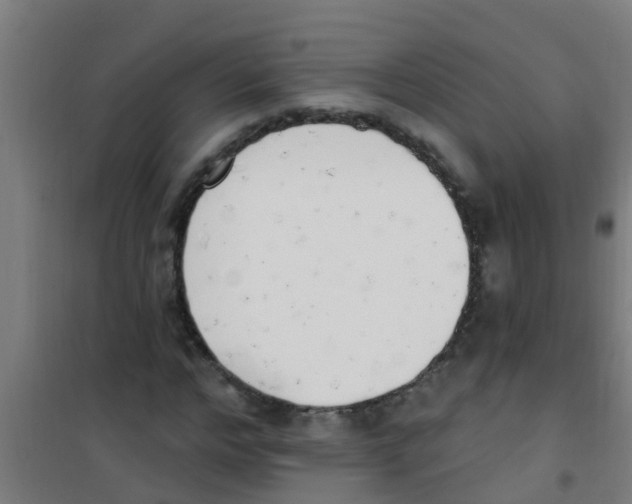 X0000100410968200807032033