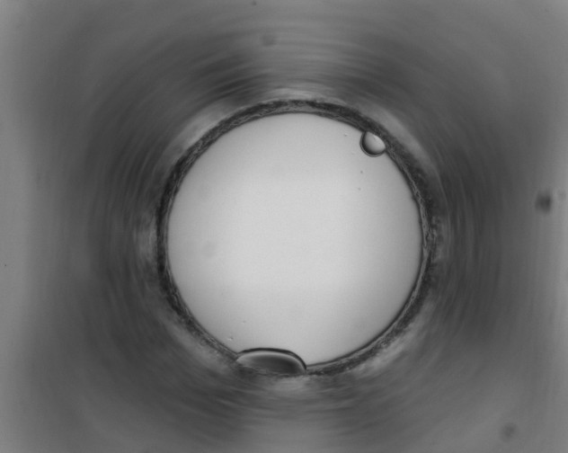 X0000100410969200807032033