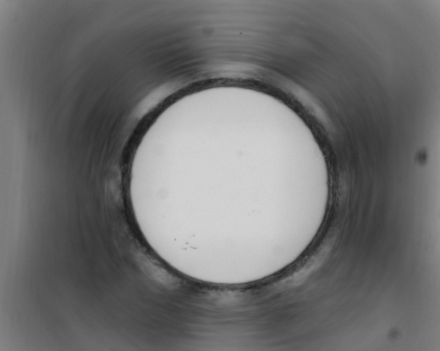 X0000100410970200807032033