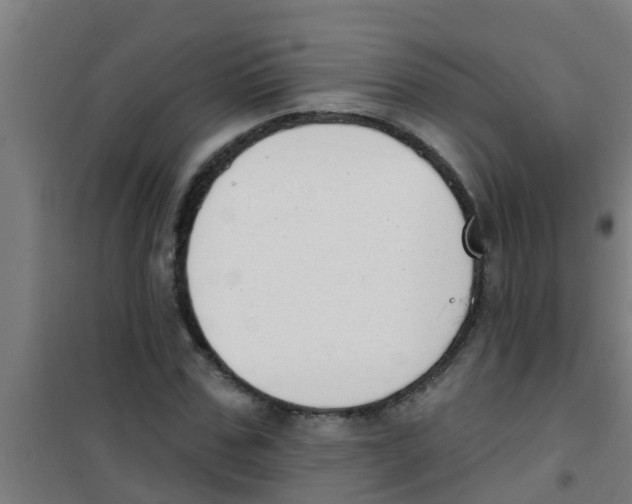 X0000100410971200807032033