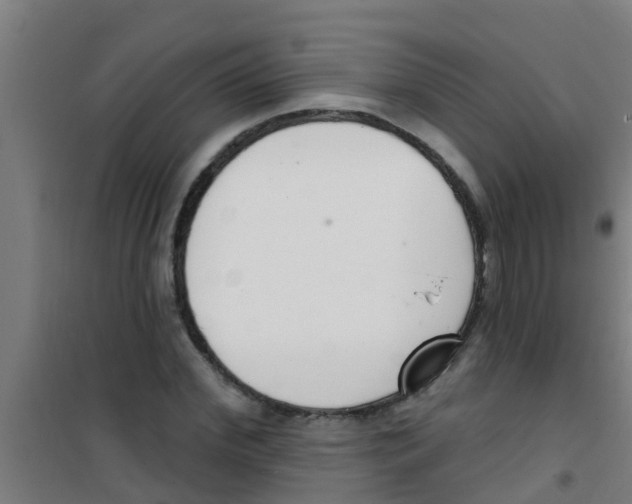 X0000100410972200807032033