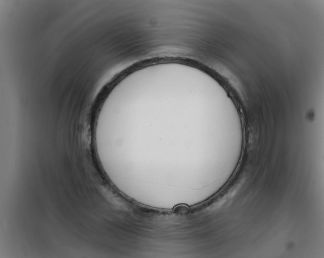 X0000100410973200807032033