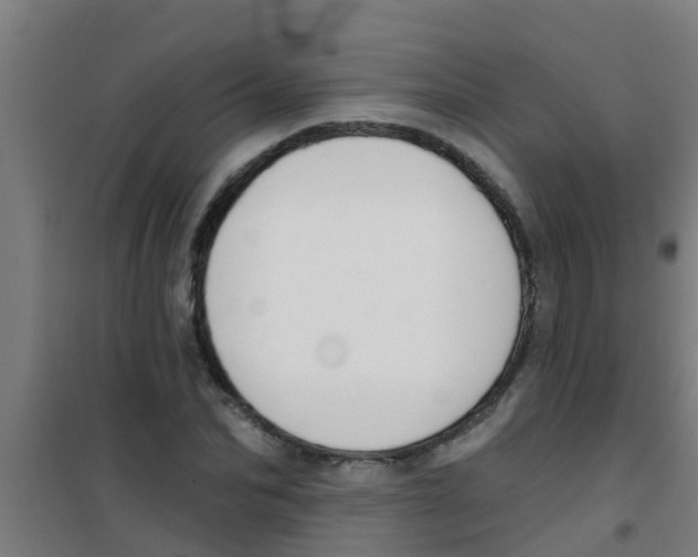 X0000100410974200807032033