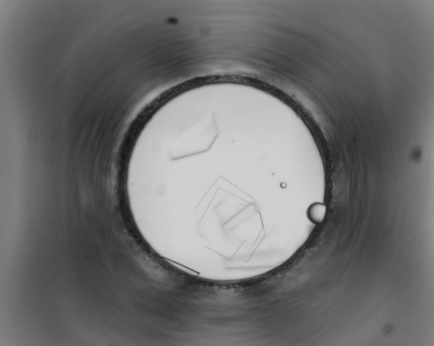X0000100410975200807032033