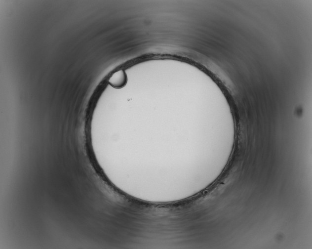 X0000100410976200807032033