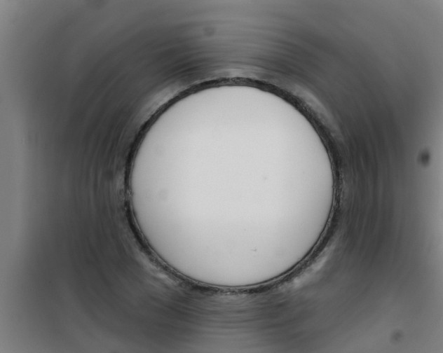 X0000100410977200807032033