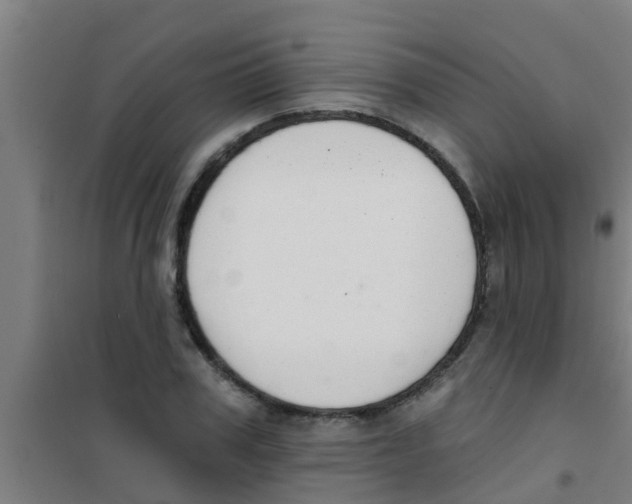 X0000100410979200807032033