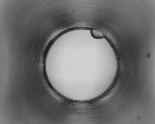 X0000100410981200807032033