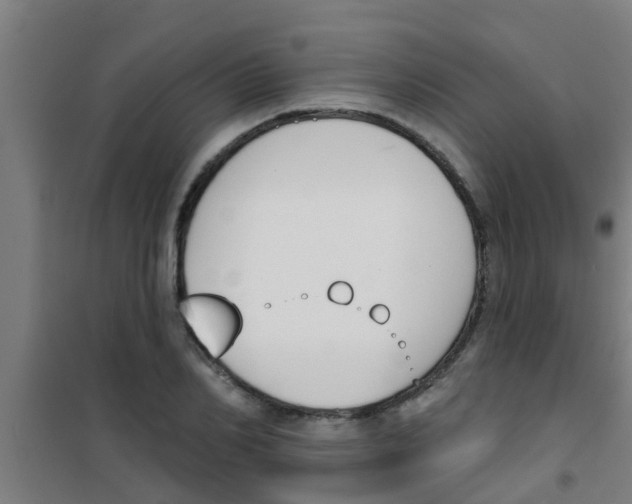 X0000100410982200807032033
