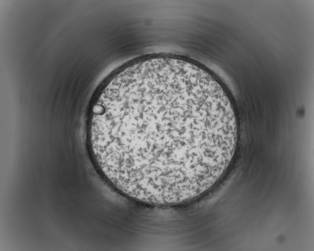 X0000100410983200807032033