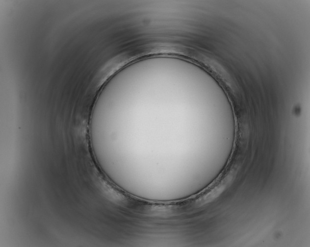 X0000100410985200807032033