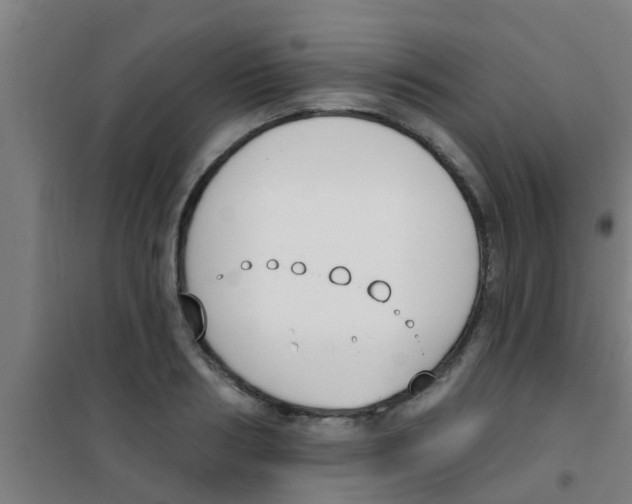 X0000100410986200807032033