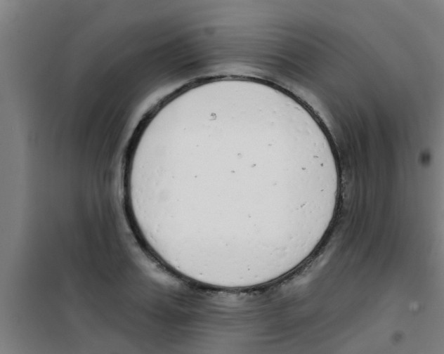 X0000100410987200807032033