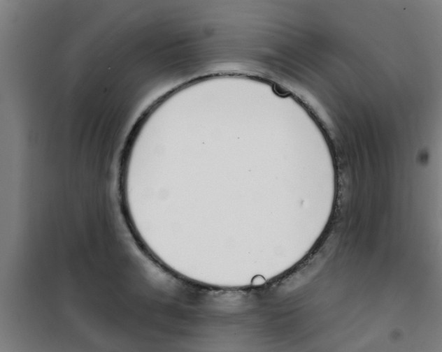 X0000100410991200807032033