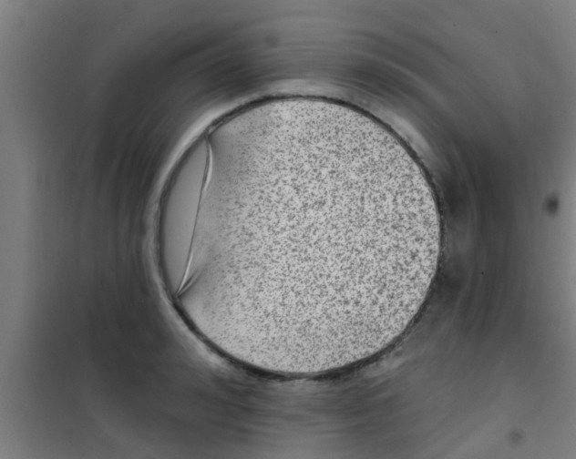 X0000100410992200807032033