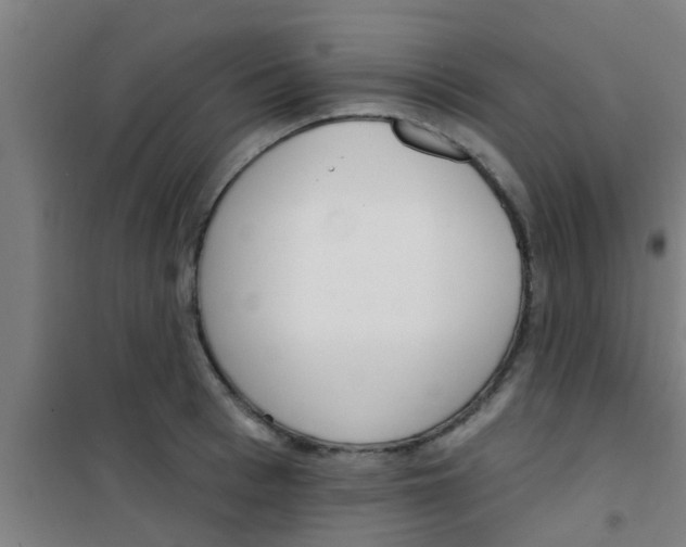 X0000100410993200807032033
