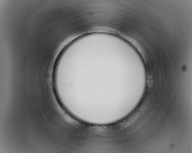 X0000100410995200807032033