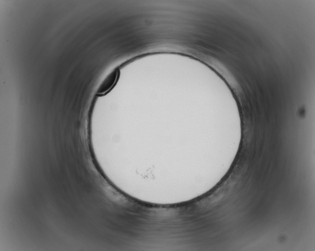 X0000100410996200807032033
